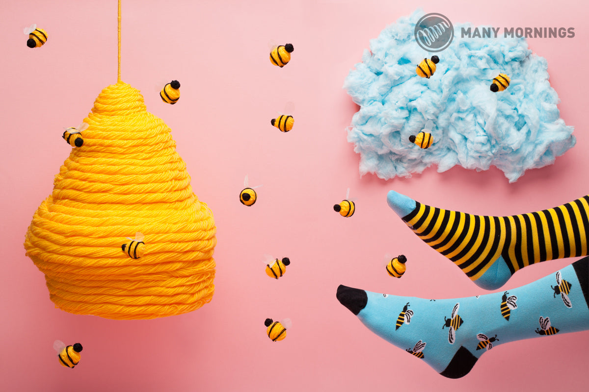 Bee Bee nogavice, Many mornings